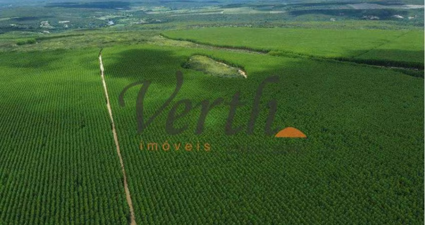 Fazenda à venda na Zona Rural, sn, Centro, Salinas