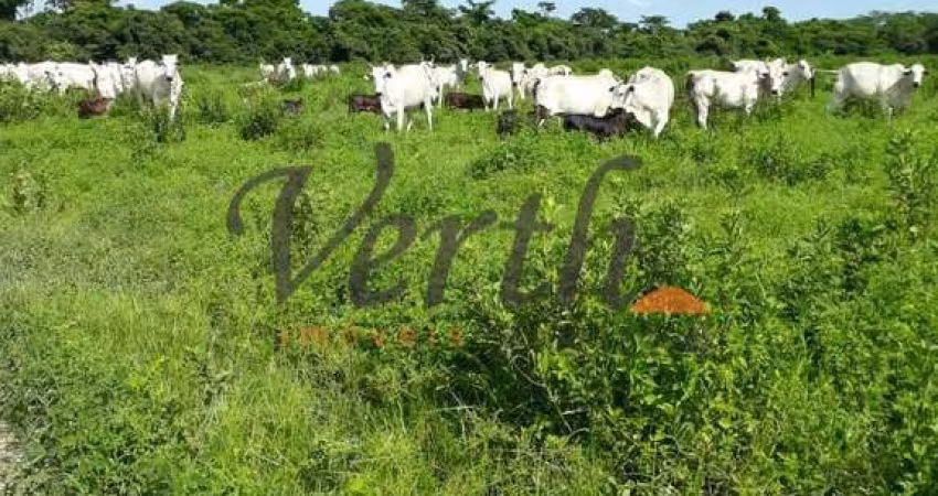Fazenda à venda na Rural, 12323, Centro, São Romão