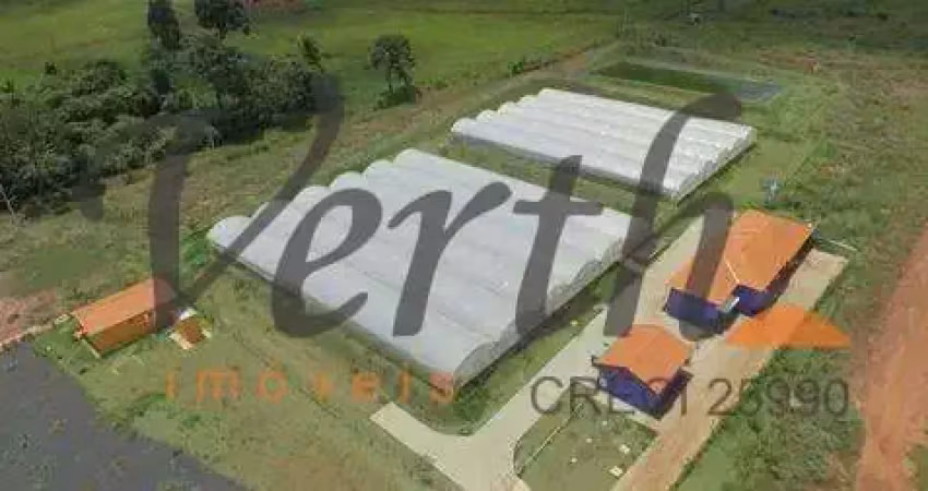 Fazenda à venda na Rua Conselheiro Antônio Prado 459, 2222, Centro, São Simão