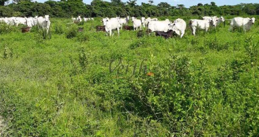 Fazenda à venda no Centro, São Romão 