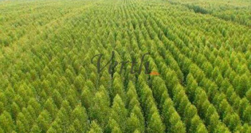 Fazenda à venda na 20 de Setembro, Sn, Centro, Itapeva