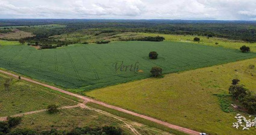 Fazenda à venda na Rural, 12323, Centro, Pilão Arcado