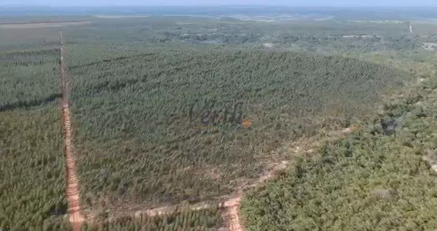 Fazenda à venda na Rural, 00, Centro, João Pinheiro