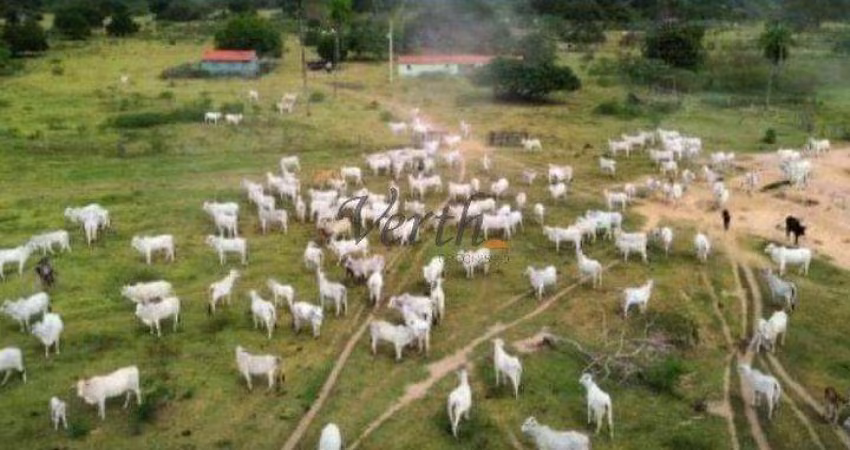 Fazenda à venda na José Barriga, 00, Centro, Rondonópolis