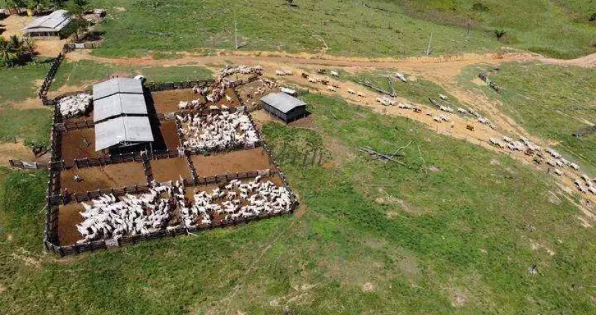 Fazenda à venda na Rural, 12222, Centro, Pacajá