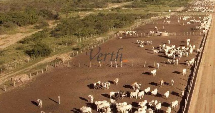 Fazenda à venda na Rural, Sn, Centro, Ibotirama