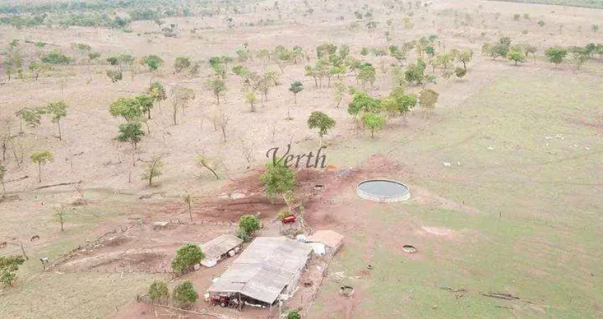 Fazenda à venda na Rural, Sn, Centro, Novo São Joaquim