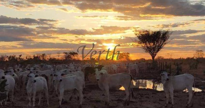 Fazenda à venda na Rural, Sn, Centro, Juatuba