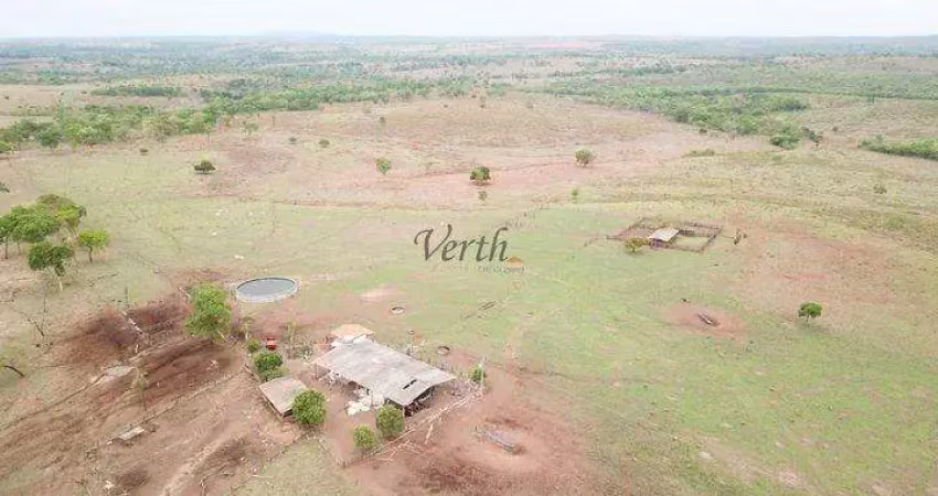 Fazenda à venda na Rural, Sn, Centro, Novo São Joaquim
