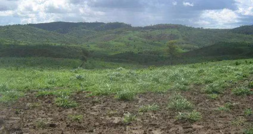 Fazenda à venda na Rio Branco, 3232, Centro, Itapira