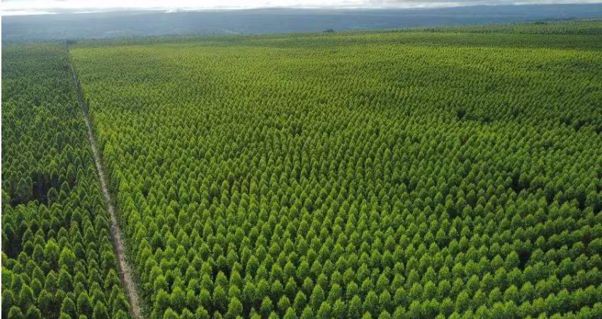 Fazenda à venda no Centro, São João do Paraíso 