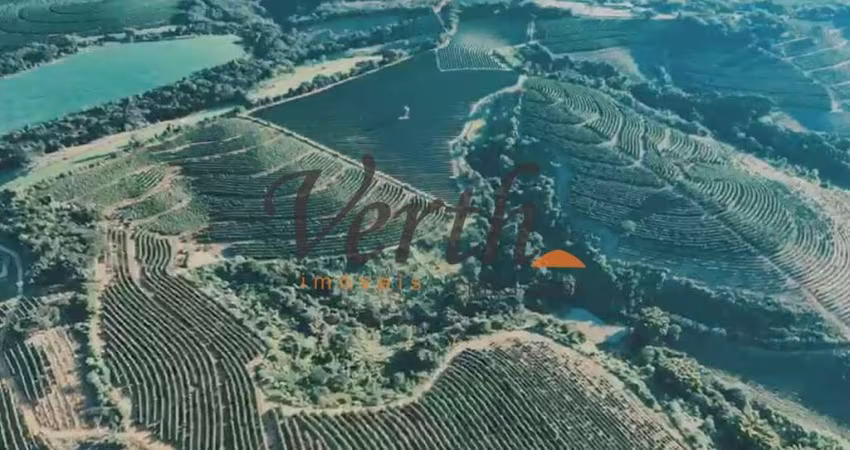Fazenda à venda na rural, 3434, Centro, Luminárias