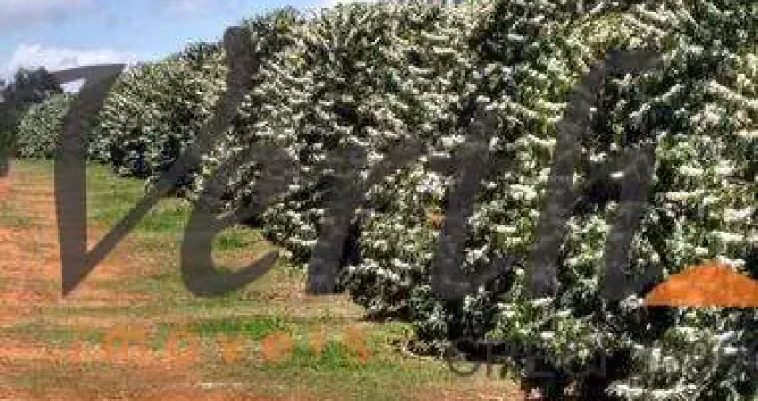 Fazenda à venda na RURAL, 12222, Centro, Capelinha