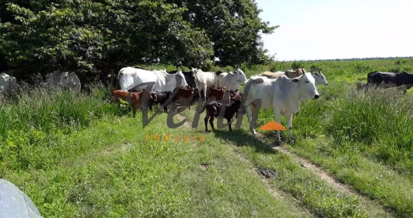 Fazenda à venda na rural, 3434, Centro, Riachão das Neves