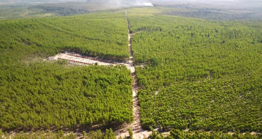 Fazenda à venda na rural, 2323, Centro, João Pinheiro