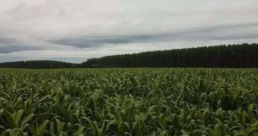 Fazenda à venda na rural, 3434, Centro, Bonfinópolis de Minas