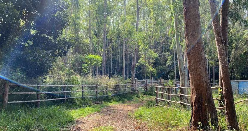 Fazenda à venda na rural, 1212, Centro, Argirita