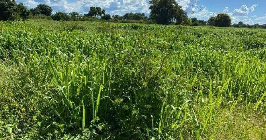 Fazenda à venda no Centro, Januária 
