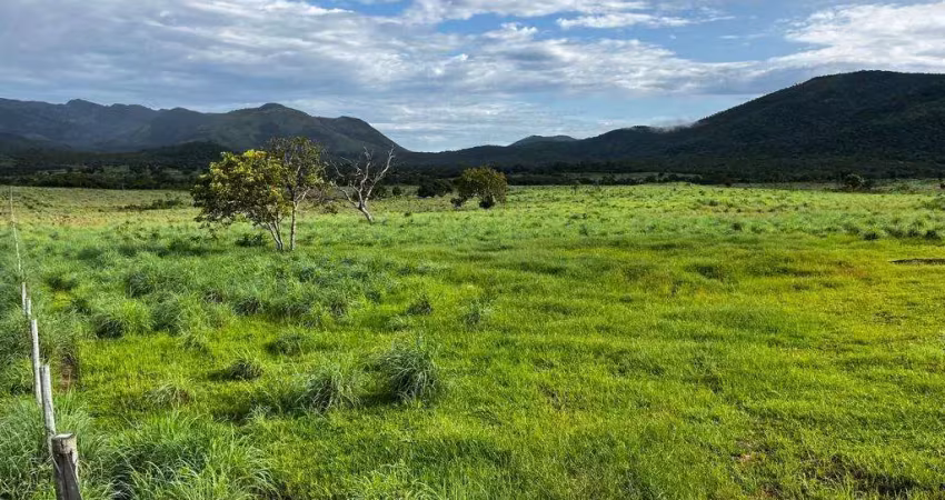 Fazenda à venda na rural, 2324, Centro, Campos Belos