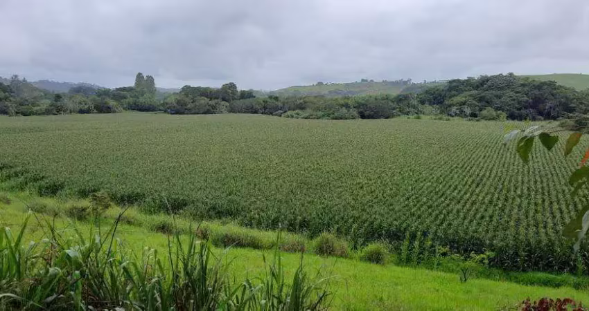 Fazenda à venda no Centro, Juiz de Fora 