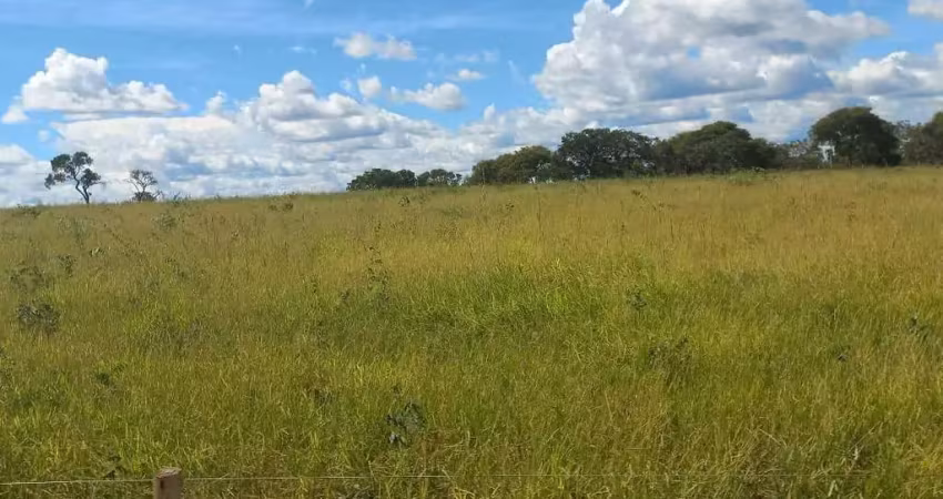 Fazenda à venda na Rural, 1232, Centro, Pintópolis