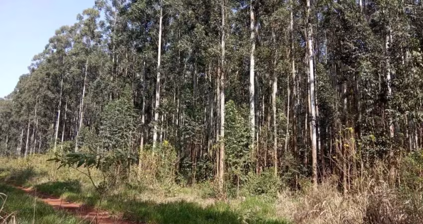 Fazenda à venda na Rural, 1000, Centro, Ribeirão do Pinhal