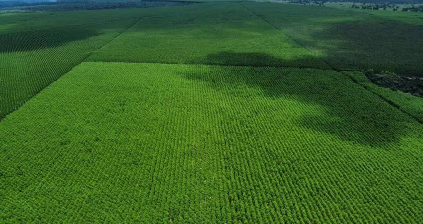 Fazenda à venda na Rural, 1000, Centro, Jacupiranga