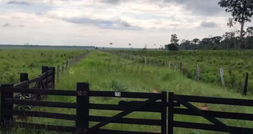 Fazenda à venda na Rural, 1000, Centro, Marcelândia