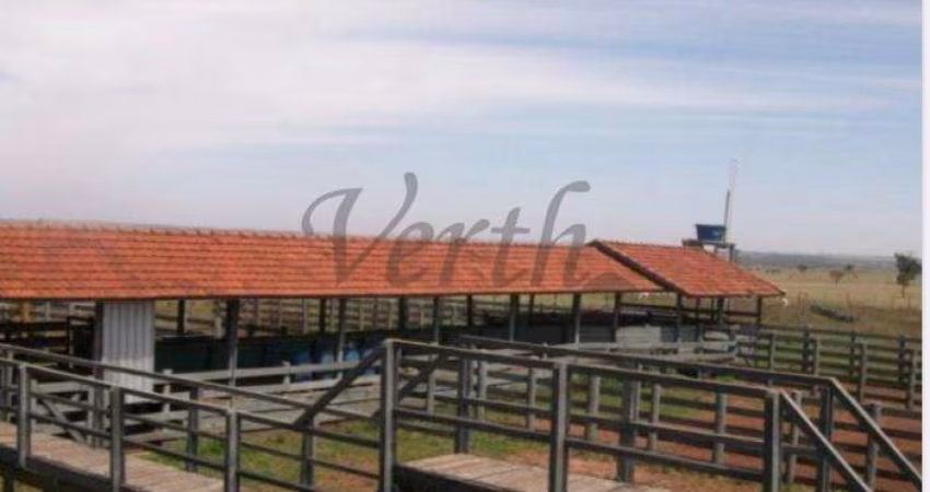 Fazenda à venda na São Luiz, 1000, Centro, Marília