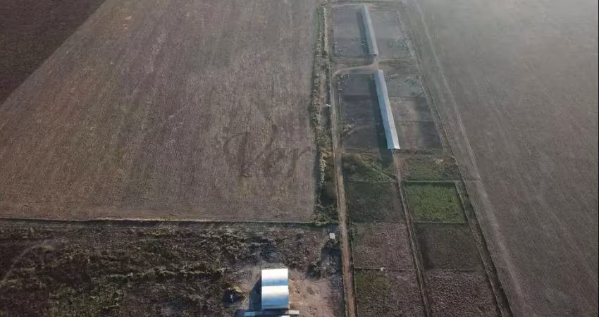 Fazenda à venda no Centro, Santa Terezinha 