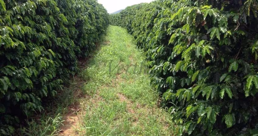Fazenda à venda no Centro, São Joaquim da Barra 