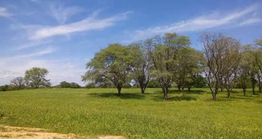 Fazenda à venda na Teixeira de Freitas, 100, Centro, Teixeira de Freitas