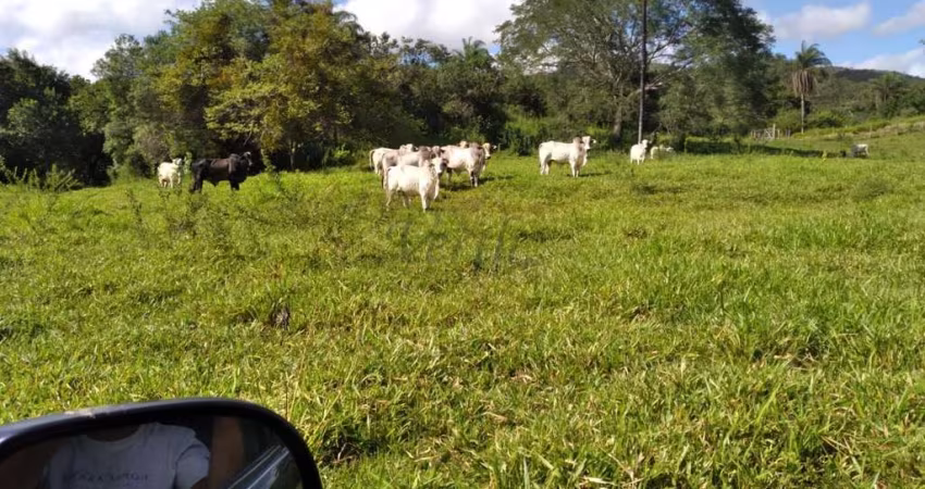 Fazenda à venda na Rural, 1000, Centro, Diamantina