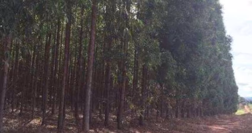 Fazenda à venda na Rural, 1000, Centro, Bonito de Minas
