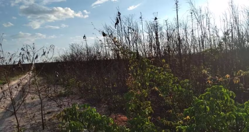 Fazenda à venda na Rural, 1000, Centro, Pilão Arcado