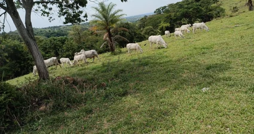 Fazenda à venda no Centro, Monte Santo de Minas 