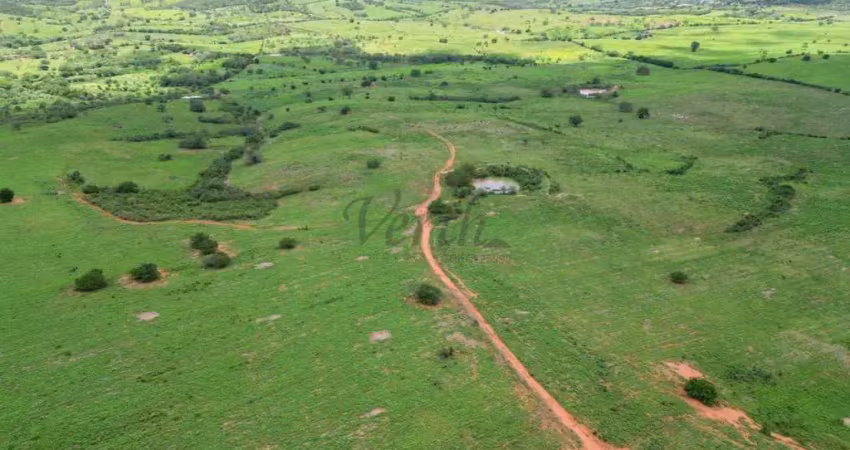 Fazenda à venda na Rua Duque de Caxias, 352, 1000, Centro, Jeremoabo