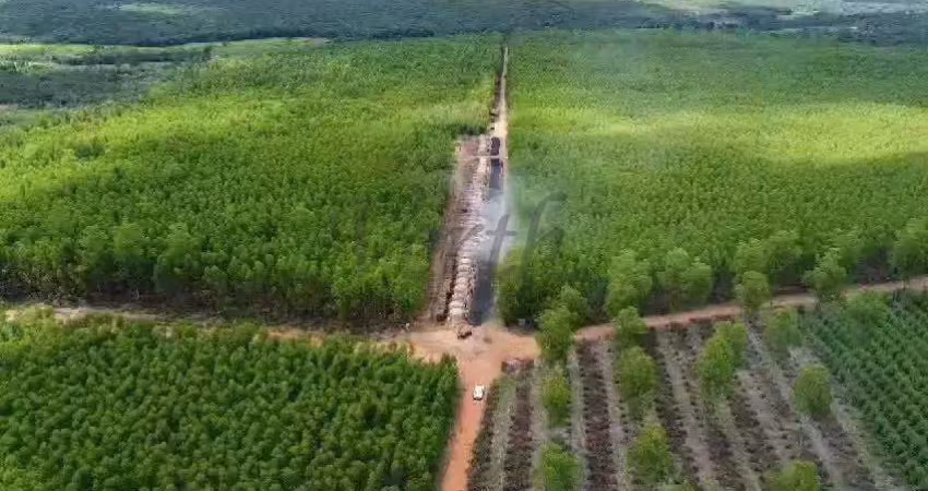Fazenda à venda na Prefeito João Herculino de Souza, 1000, Centro, Sete Lagoas