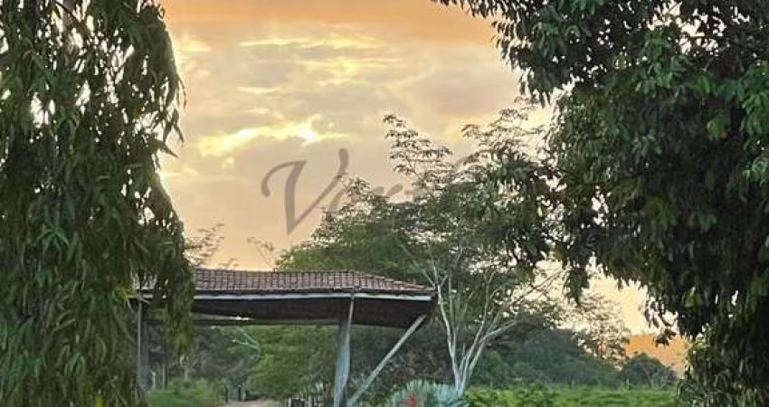 Fazenda à venda na Rua Inês Soares 80, 1000, Centro, Pacajá