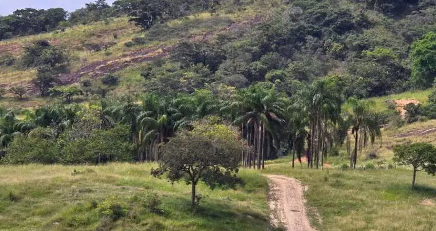 Fazenda à venda na Avenida João Júlio de Faria, Centro, Boa Esperança