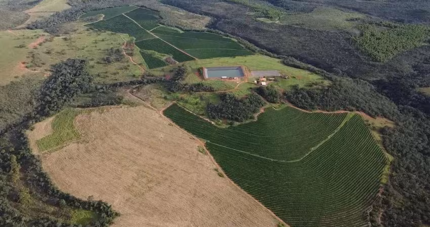 Fazenda à venda na Rua Felisberto Fonseca, 68, 1000, Centro, Presidente Olegário