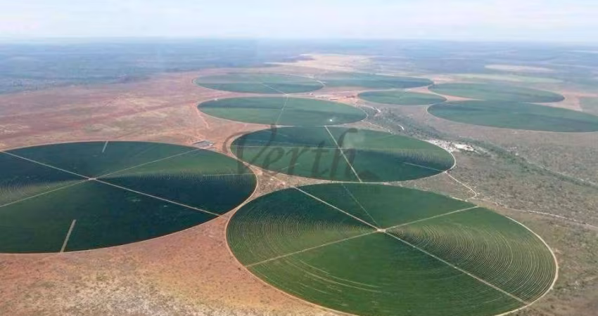 Fazenda à venda na Avenida Manoel Joaquim de Melo 996, 1000, Centro, Buritizeiro