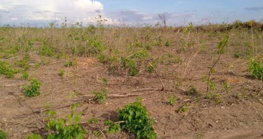 Fazenda à venda na rural, 3434, Centro, Riachão das Neves