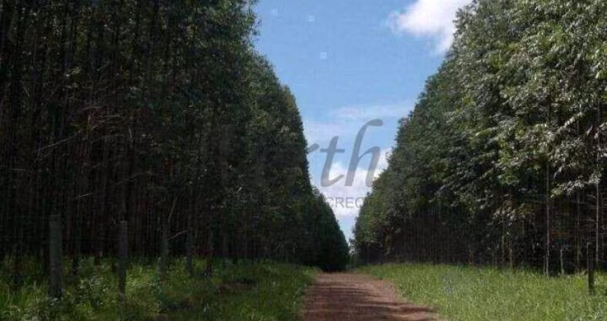Fazenda à venda na Avenida Oliveira Cesar 106, 1000, Centro, Itapirapuã Paulista