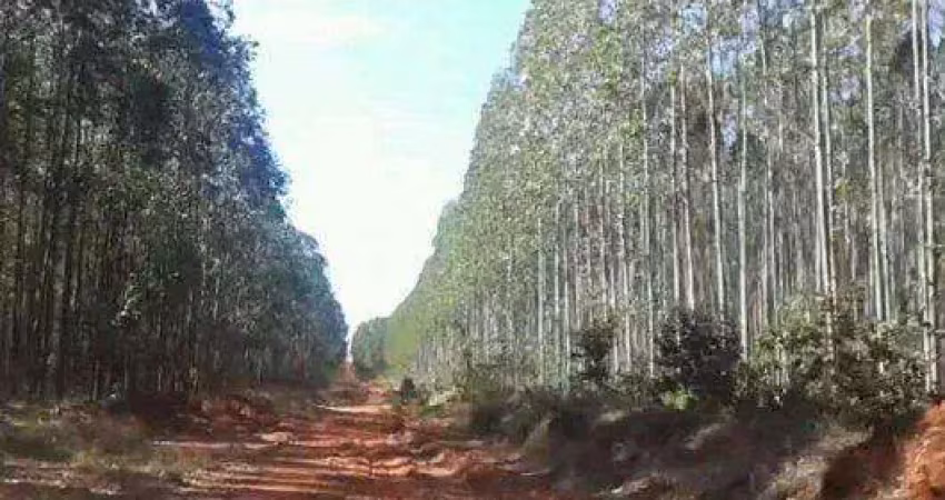 Fazenda à venda no Centro, Santa Fé de Minas 