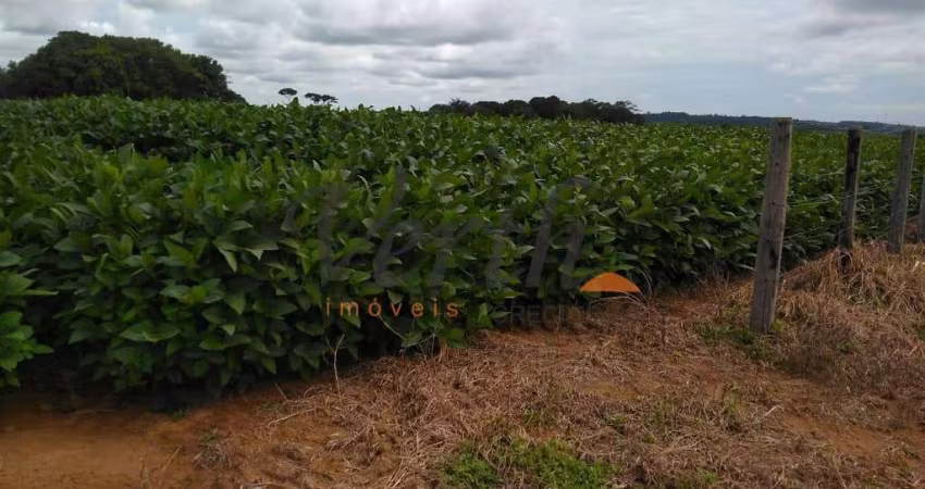 Fazenda à venda na Rural, sn, Cidade Alta, Alta Floresta