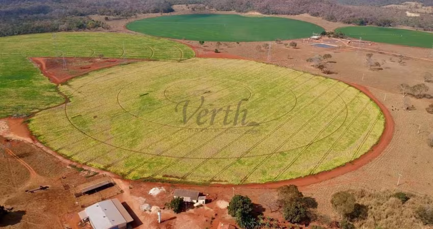 Fazenda à venda na Adelina Andrade Porto, 1000, Flamboyant, Paracatu