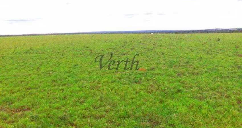 Fazenda à venda na Rural, 2222, Setor Central, Guaraí