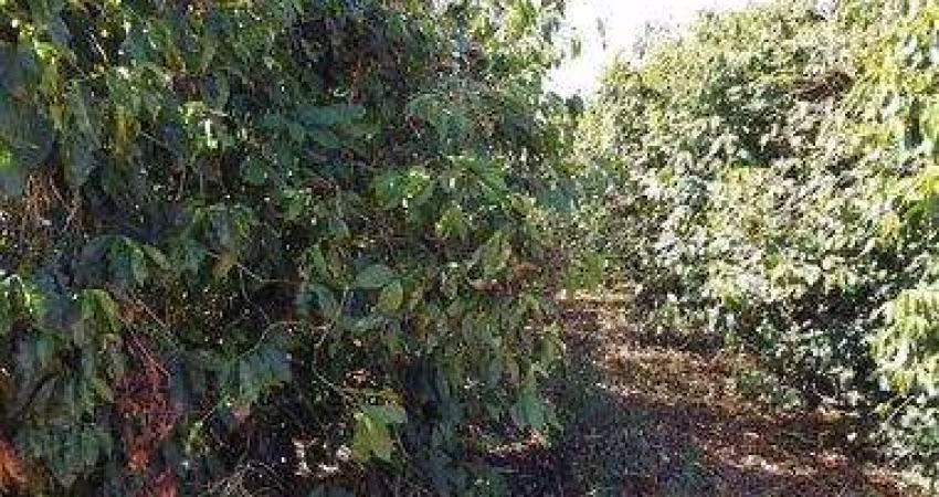 Fazenda à venda na da Pedra, 200, Itapuã, Unaí