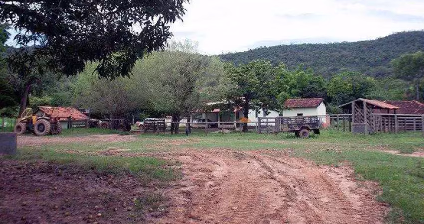 Fazenda à venda na Unaí, Sn, Mamoeiro, Unaí